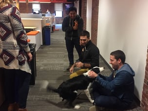 Finn-at-hubspot.jpg