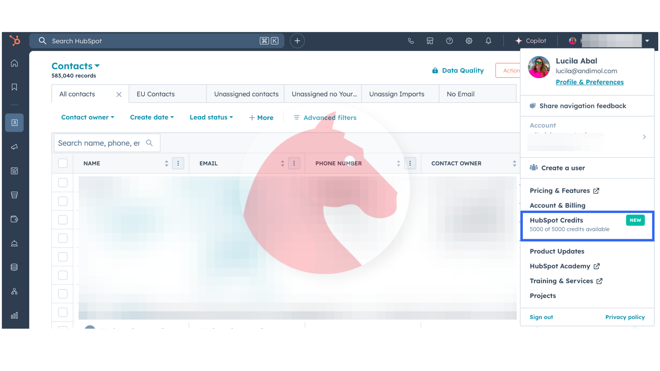 HubSpot credits amount